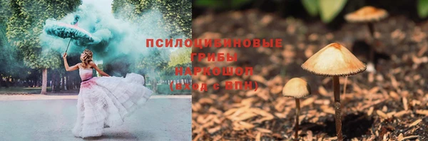 гидра Заволжье
